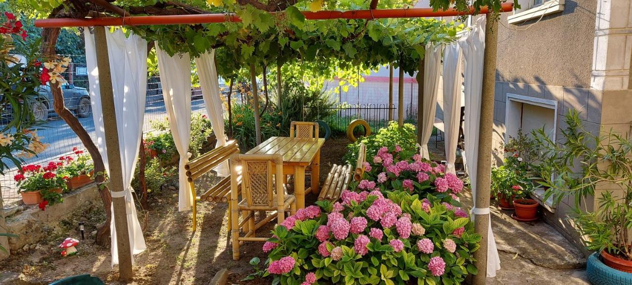 Guest House Nikolovi Lozenets Eksteriør billede